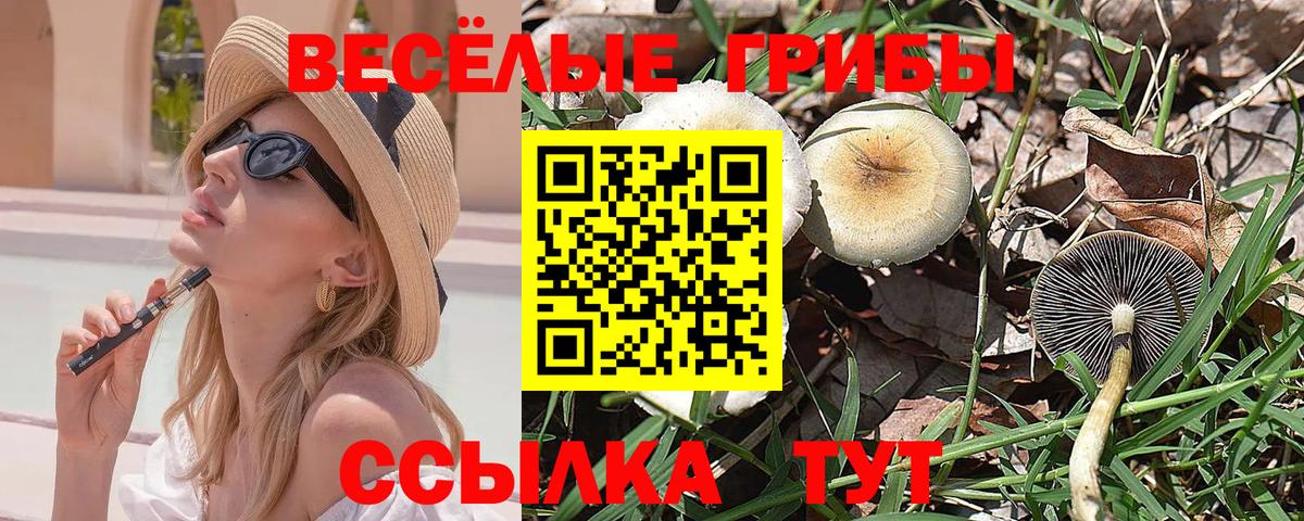 где продают наркотики  Галлюциногенные грибы MAGIC MUSHROOMS  Вход с VPN  Бугульма 
